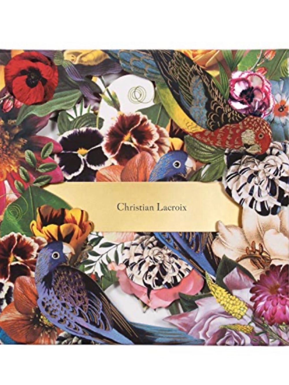 🦜 Christian Lacroix 🦜 Birds Sinfonia Note Card Set